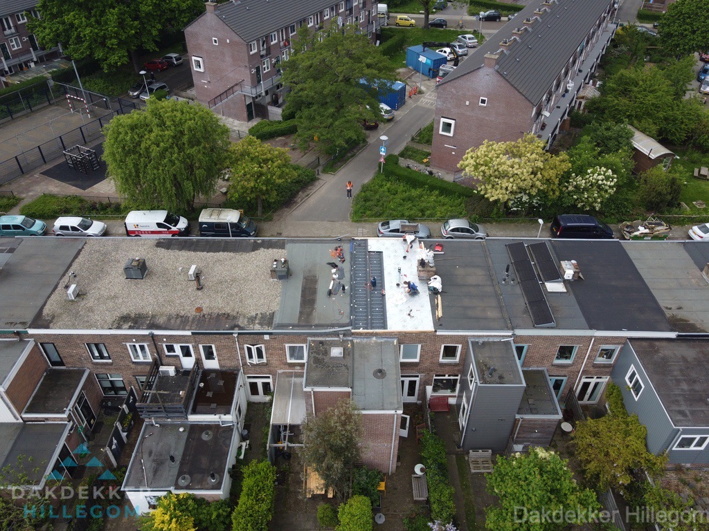 Dakinspectie In Hillegom Dakinspectie In Hillegom