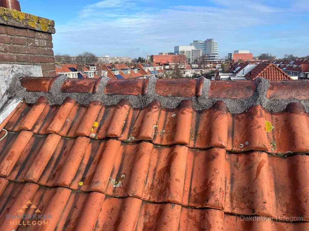 Hillegom Daken Renoveren Hillegom Daken Renoveren